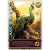 Ave de Hera