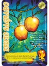 Fruto Sagrado