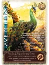 Ave  de Hera